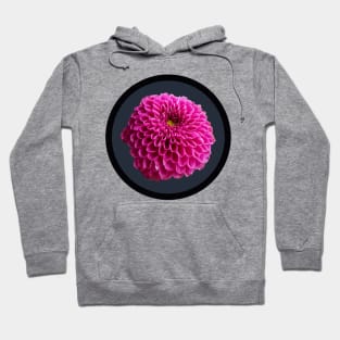 Dark Pink Ball Dahlia Flower Circle Frame Hoodie